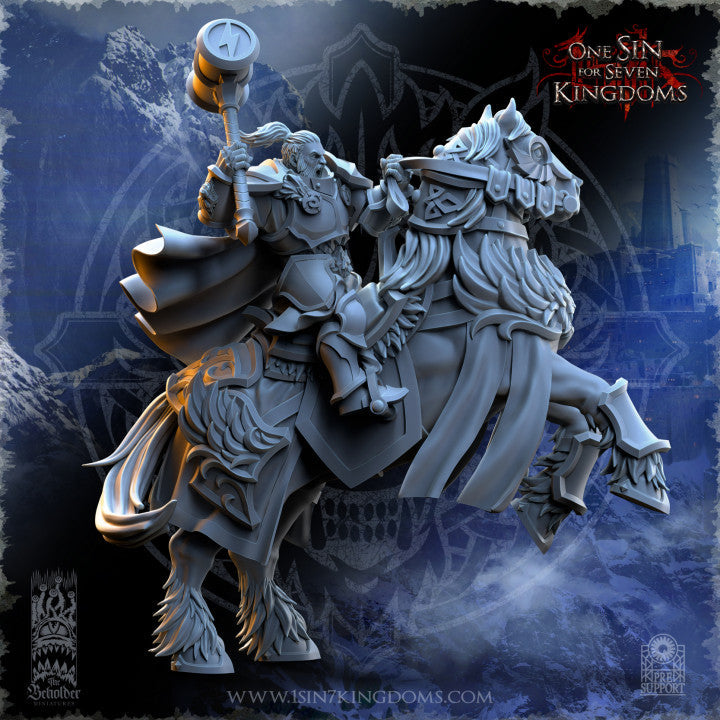 Haakon Storm-Knight Commander, The Beholder Miniatures