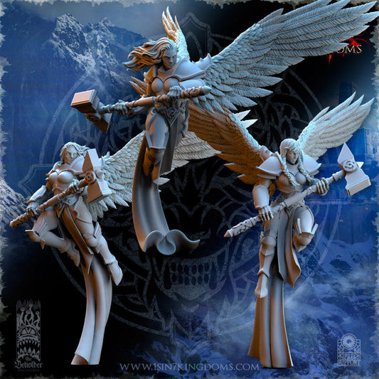 Valkyries Elite Guard, The Beholder Miniatures