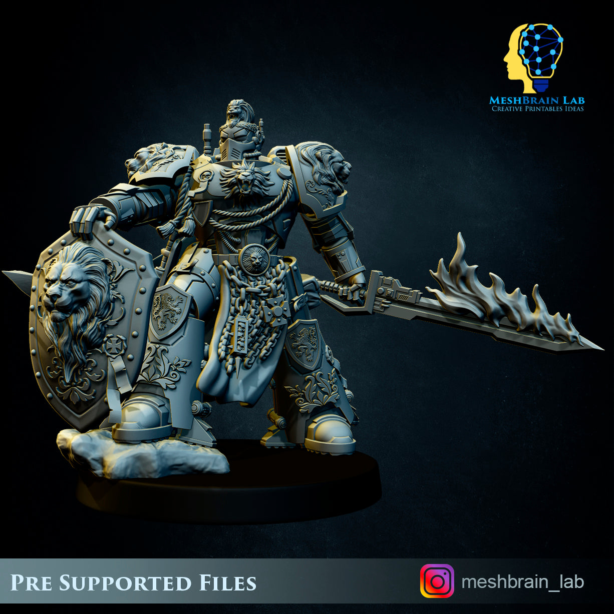 Master of the order 2, MeshBrain Lab