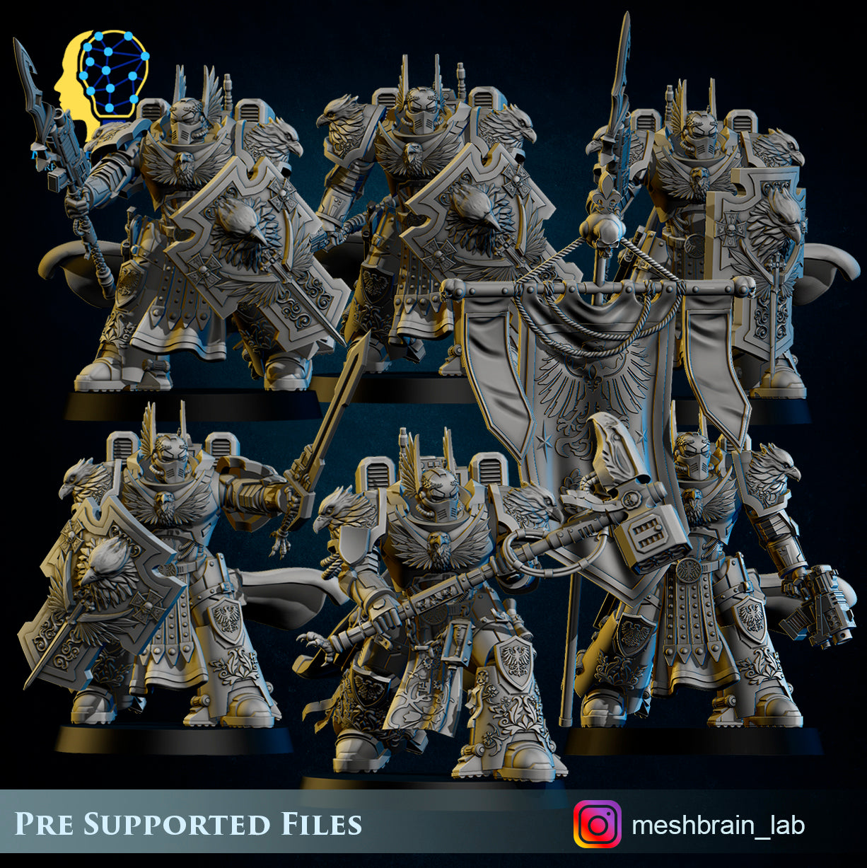 Master of the order and Sworn Guard squad, MeshBrain Lab