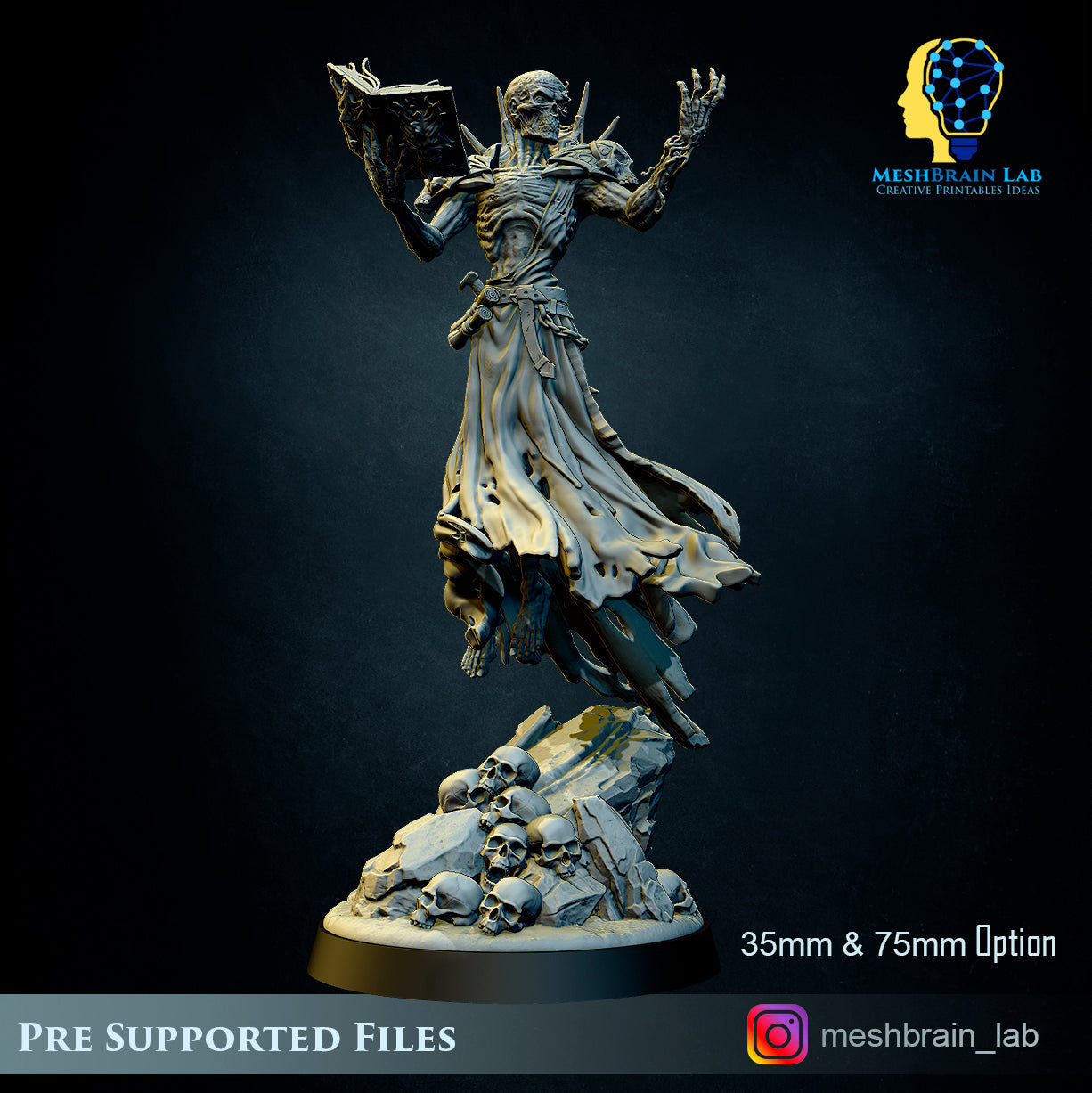 Lich Lord Vecna, MeshBrain Lab