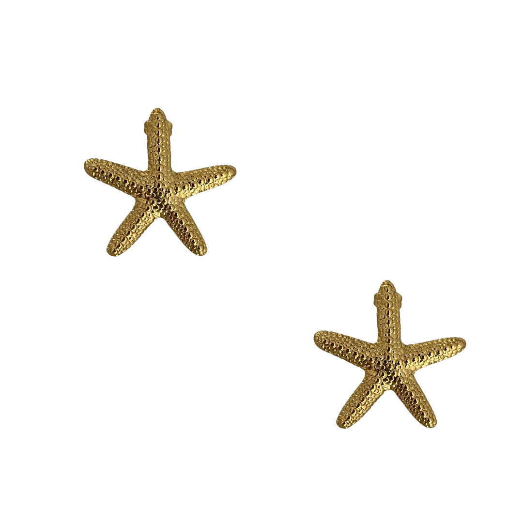 Pendientes Starfish