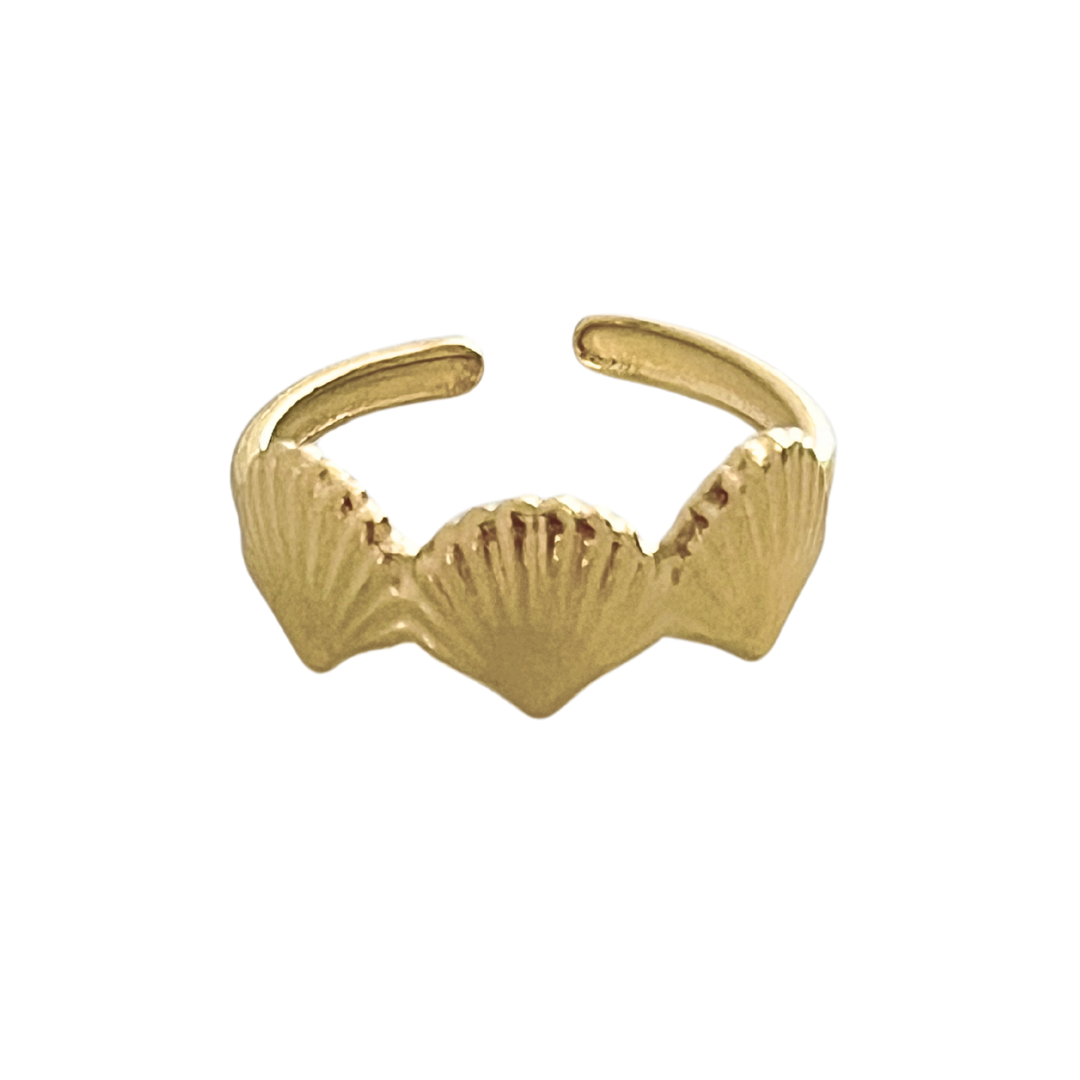Anillo Coquille