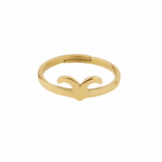 Anillo Venture Zodiaco