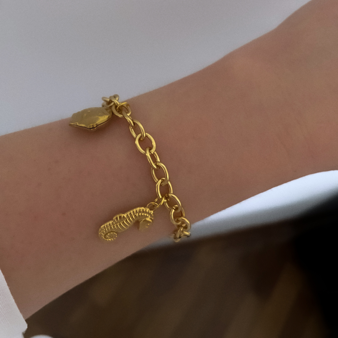 Pulsera Marine