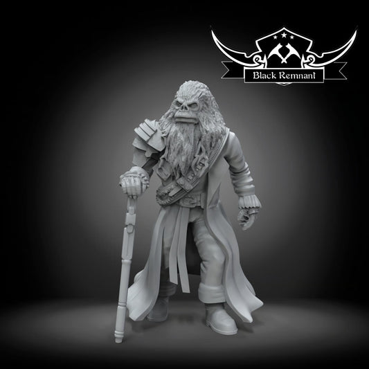 The green pirate king, Black Remnant