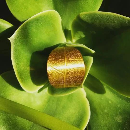 Anillo Hojas
