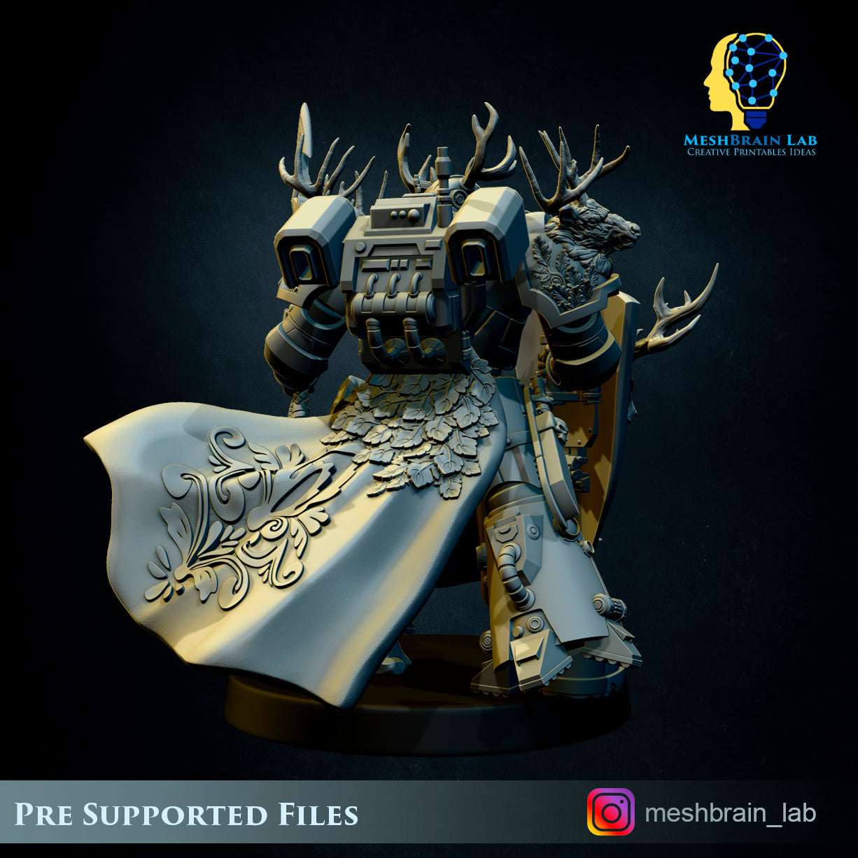 Master of the order 3, MeshBrain Lab