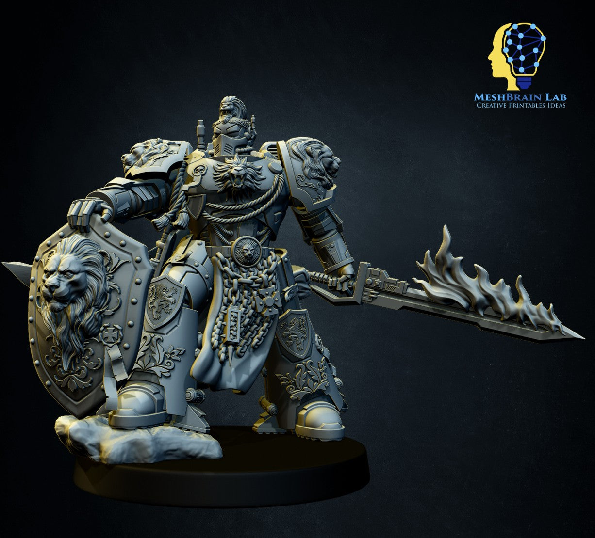 Master of the order 2, MeshBrain Lab