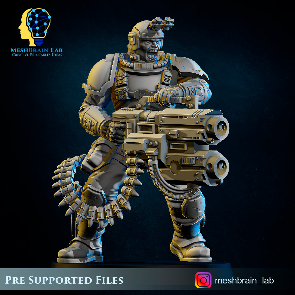 Scout Special Weapons, MeshBrain Lab