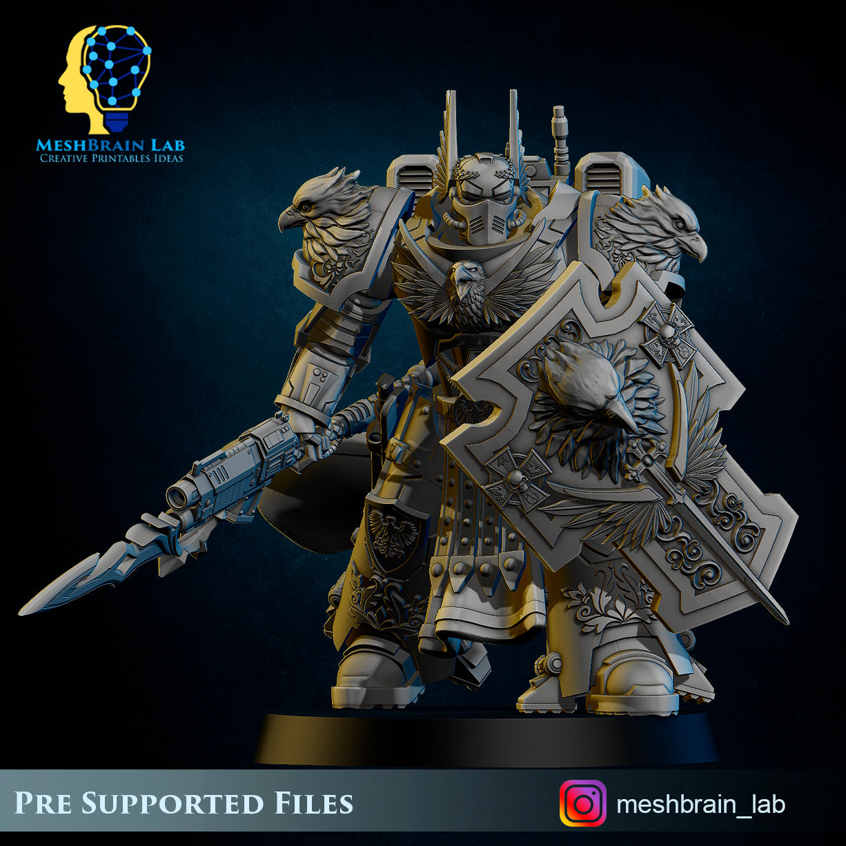 Master of the order and Sworn Guard squad, MeshBrain Lab