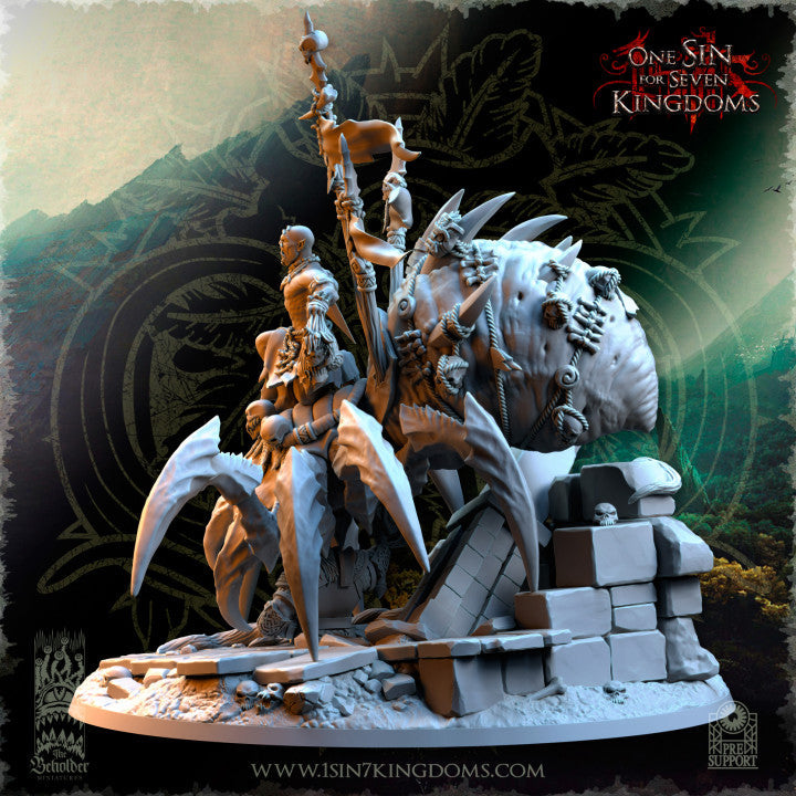 Salanaar Shaman Spider Rider, The Beholder Miniatures