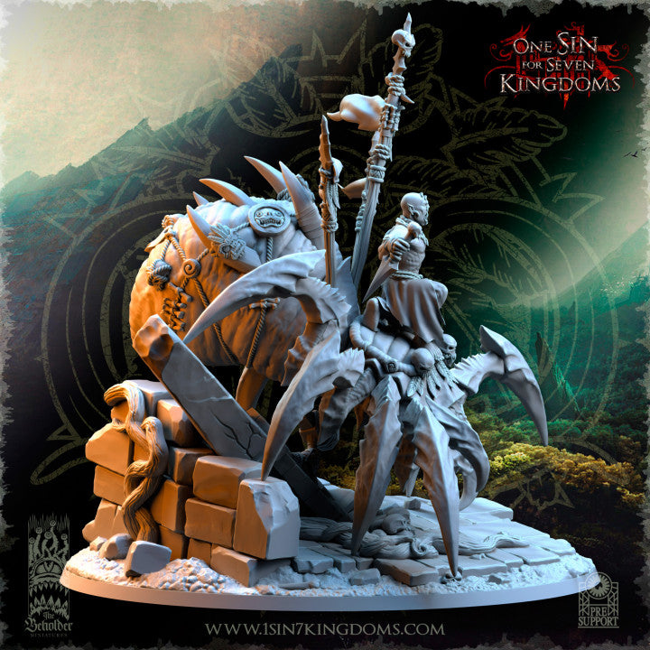 Salanaar Shaman Spider Rider, The Beholder Miniatures