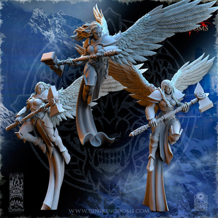 Valkyries Elite Guard, The Beholder Miniatures