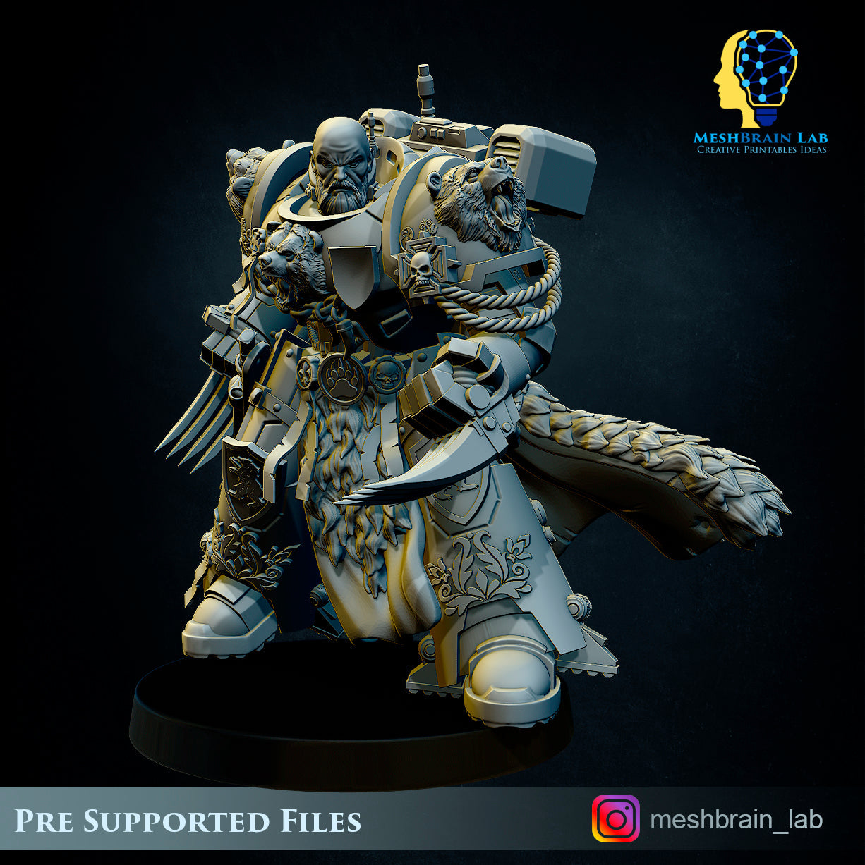 Master of the order 1, MeshBrain Lab