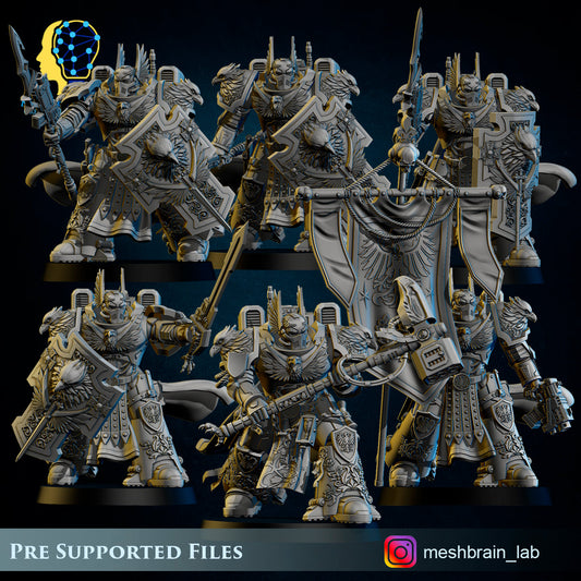 Master of the order and Sworn Guard squad, MeshBrain Lab