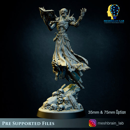 Lich Lord Vecna, MeshBrain Lab