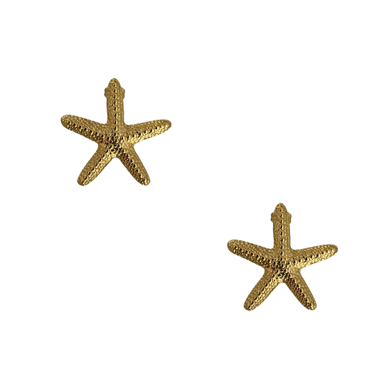 Pendientes Starfish