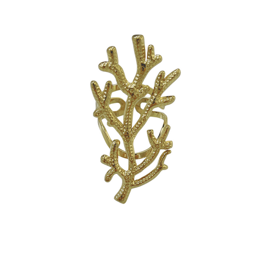 Anillo Airlie