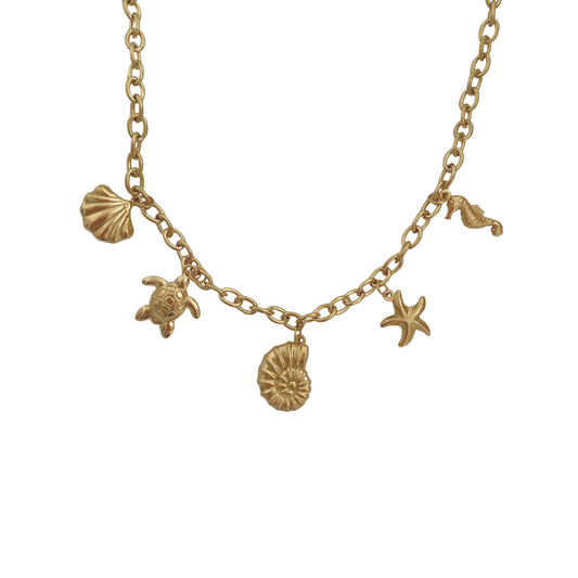 Collar Marine