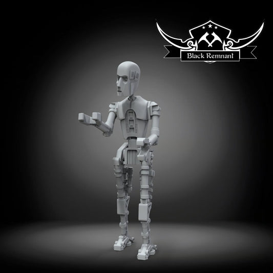 Slug's droid, Black Remnant