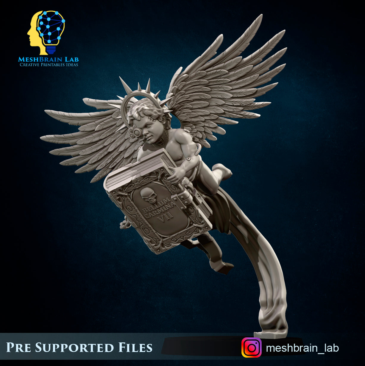 Cyber servitor, MeshBrain Lab