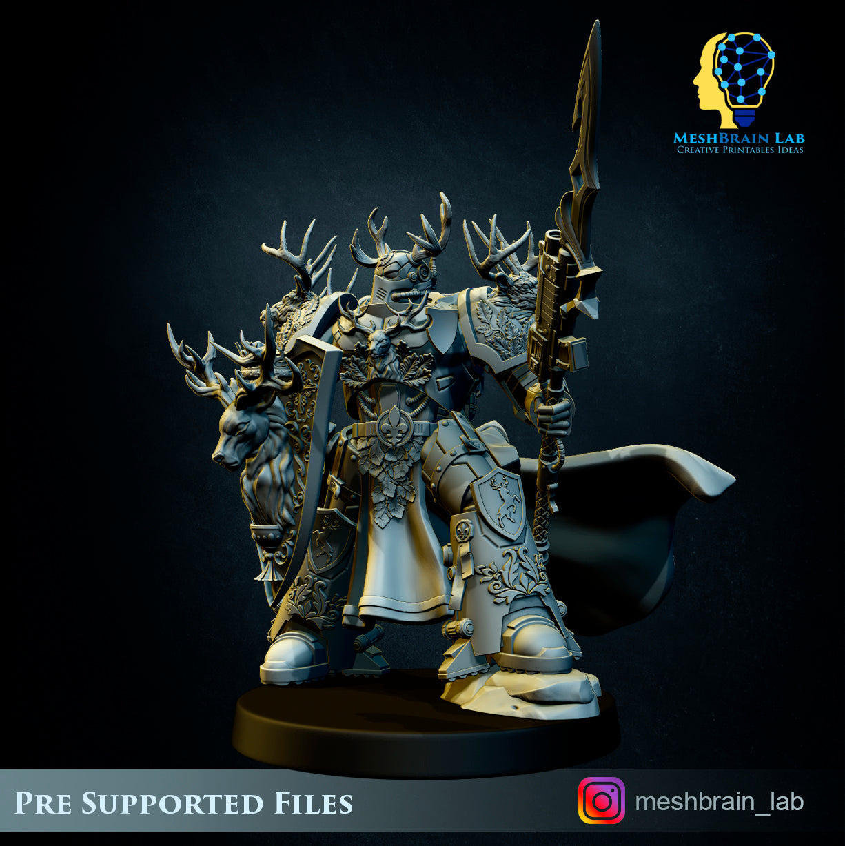 Master of the order 3, MeshBrain Lab