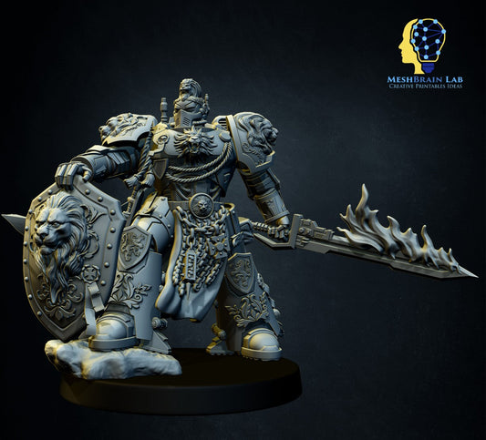 Master of the order 2, MeshBrain Lab