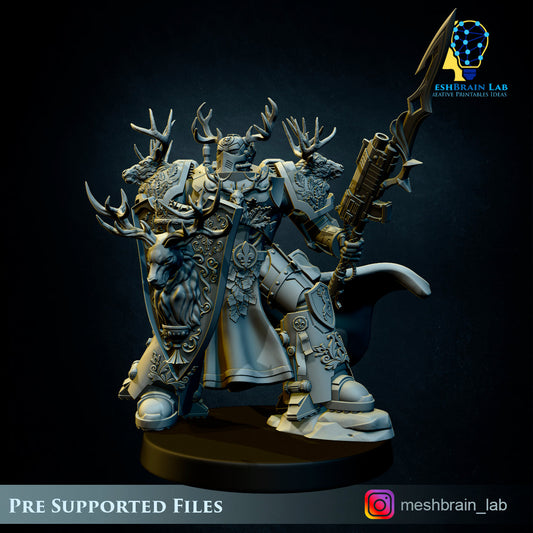 Master of the order 3, MeshBrain Lab