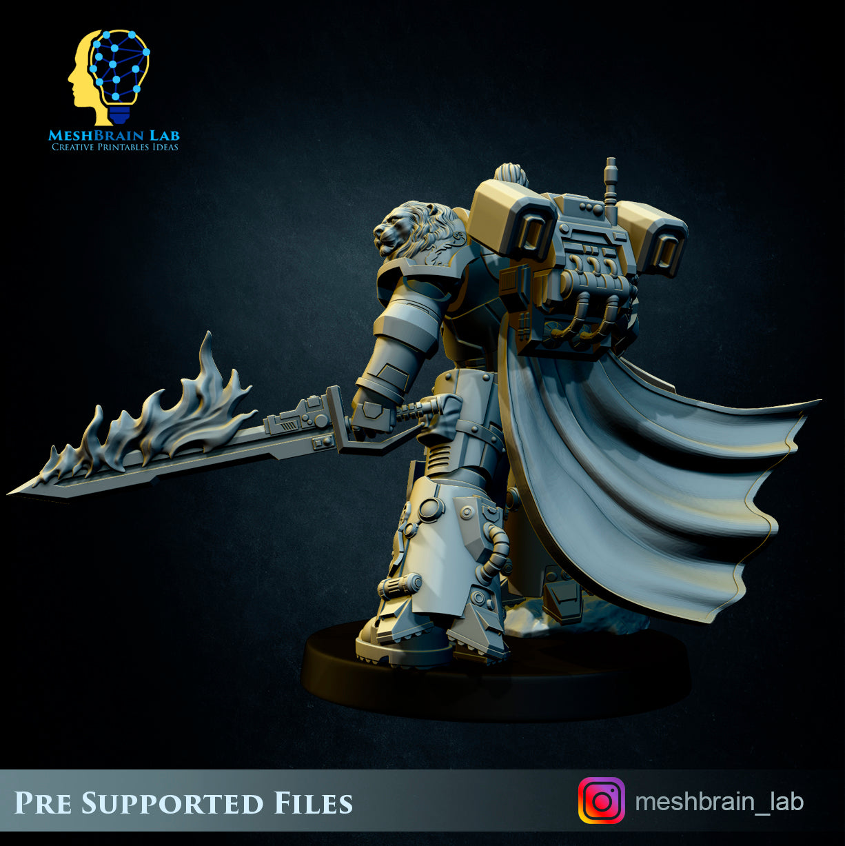 Master of the order 2, MeshBrain Lab