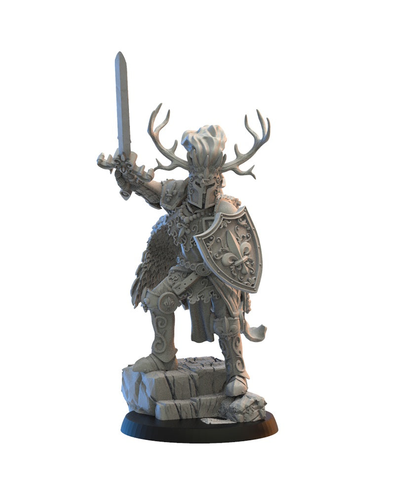 Medraut, The Knight's Shadow,  on foot, Lost Kingdom Miniatures