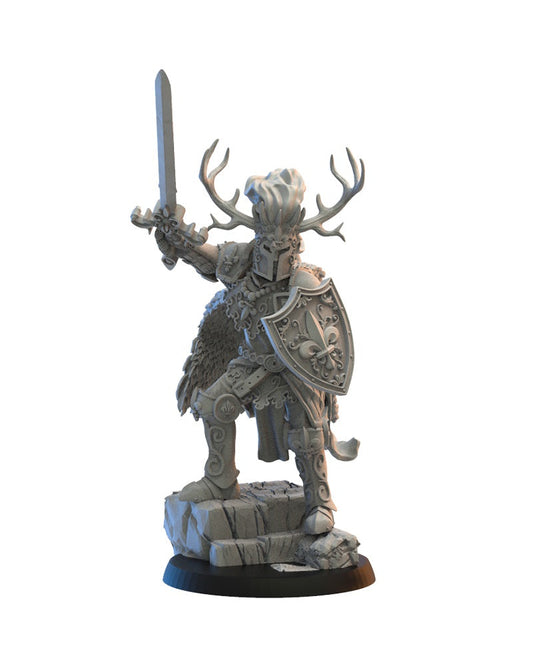 Medraut, The Knight's Shadow,  on foot, Lost Kingdom Miniatures