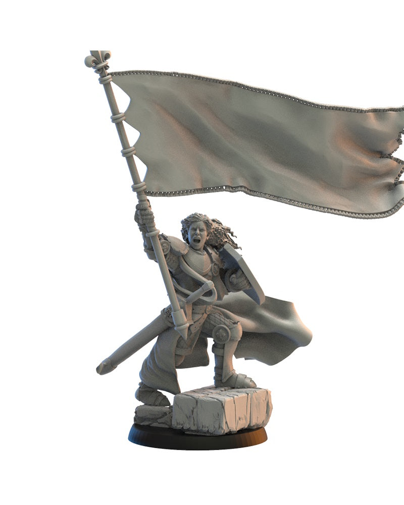 Kingdom Of Mercia Standard Bearer, Lost Kingdom Miniatures
