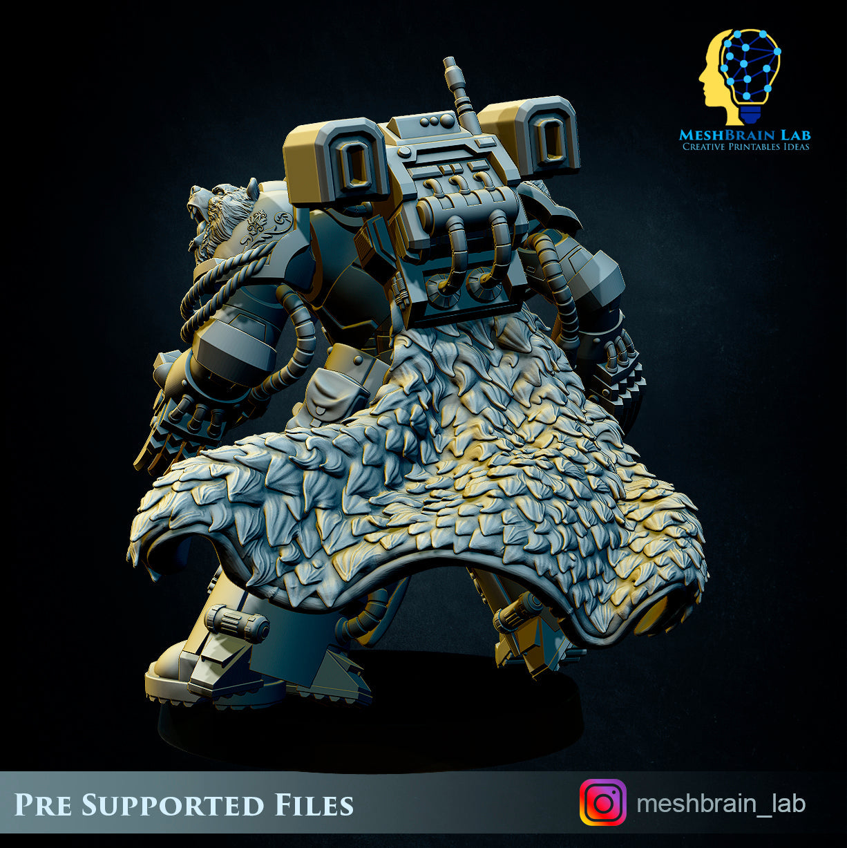 Master of the order 1, MeshBrain Lab