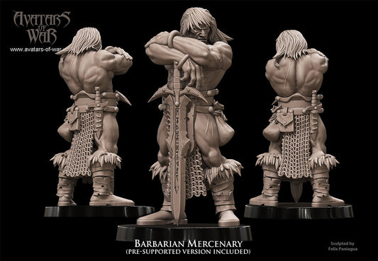 Barbarian Mercenary, Avatars of War