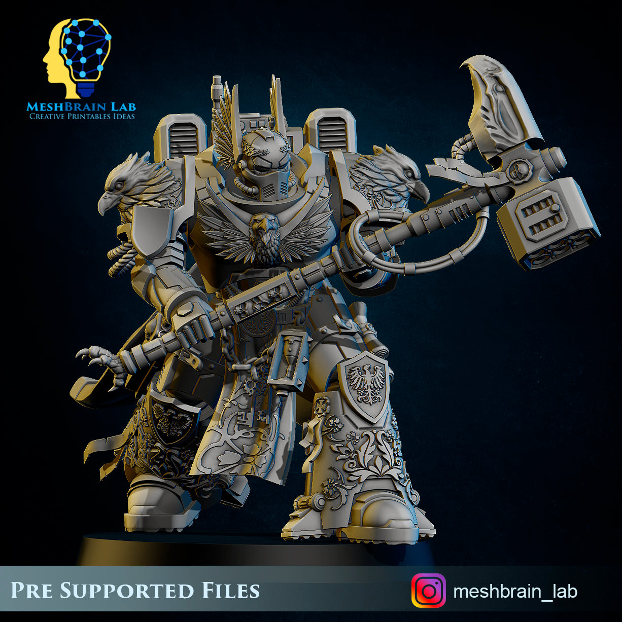 Master of the order and Sworn Guard squad, MeshBrain Lab