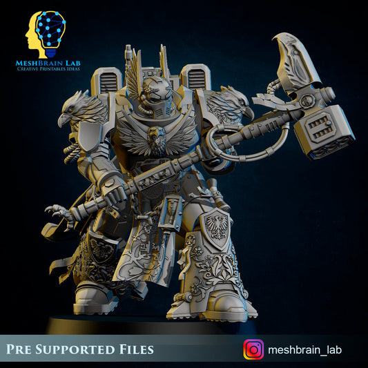 Master of the order of Heavens, MeshBrain Lab